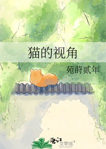 《猫的视角》