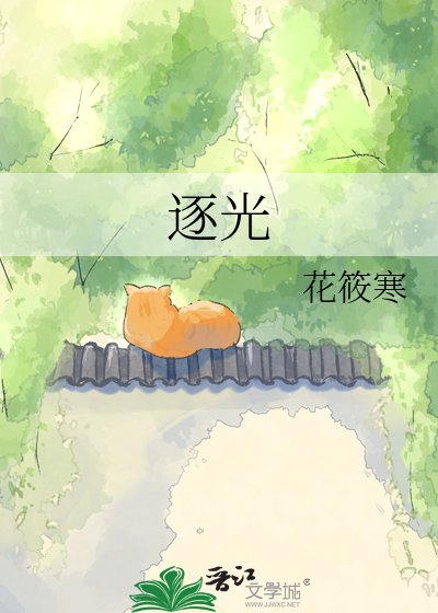逐光