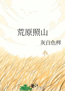 《荒原照山》