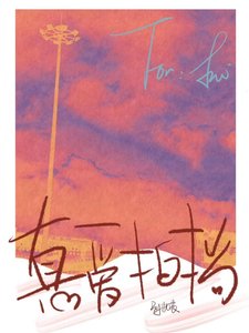 《真爱拍档》