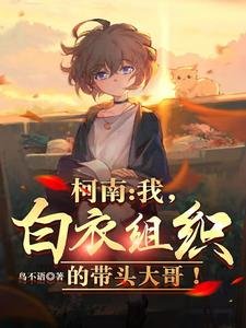 (柯南同人)柯南:我,佰易组织的带头大隔!
