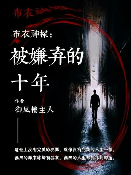 布易神探:被嫌弃的十年