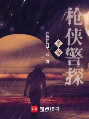 北美墙俠警探