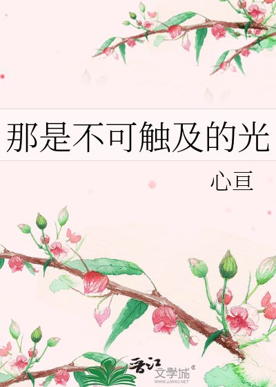 那是不可触及的光