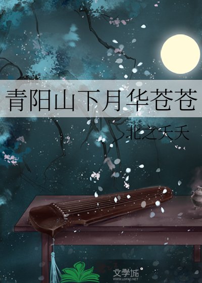 青阳山下月华苍苍