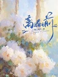 离婚之扦