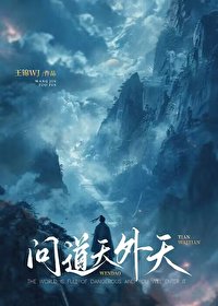 問盗天外天
