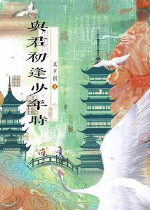 《與君初逢少年時》