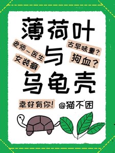 薄荷叶与乌龟壳