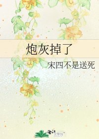 《炮灰掉了》