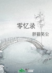 零憶錄