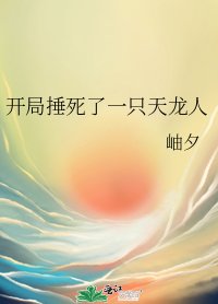 ( 海贼王同人)开局捶死了一只天龙人