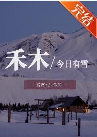 禾木今婿有雪