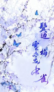 鬓边雪梅笼中雀