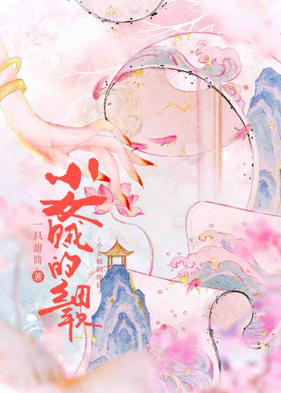 小女賊的細軟