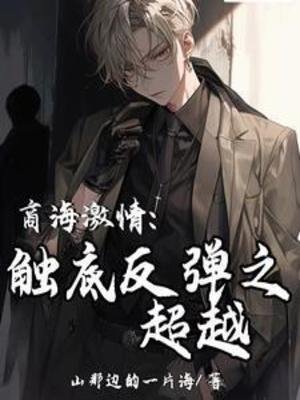 《商海激情:觸底反彈之超越》