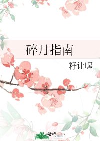 碎月指南