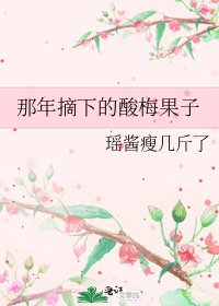那年摘下的酸梅果子