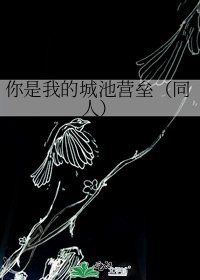 你是我的城池營壘(同人)