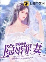 陸少的隱婚罪妻