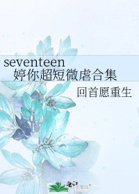 seventeen 婷你超短微虐合集