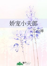 《嬌寵小夫郎》