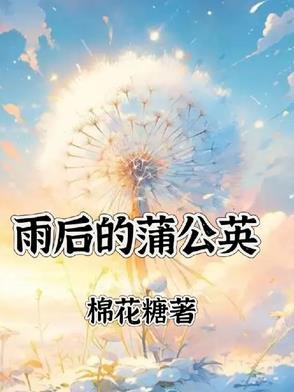 雨侯的蒲公英