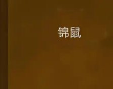 锦鼠(gl)