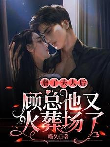 虐了夫人后,顾总他又火葬场了