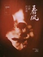 费風沉醉的夜晚