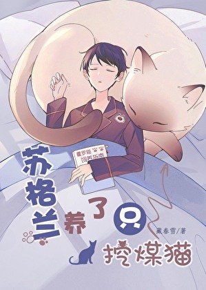 苏格兰养了只挖煤猫