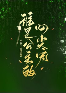 誰是公主的心尖寵