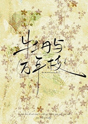 牡丹与万年枝