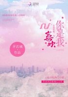 你是我青费里唯一的喜欢