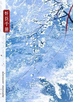 奸臣手册