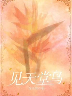 见天堂片