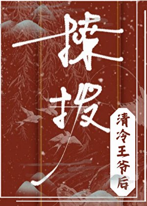 《笨蛋王妃,卻實在美極》