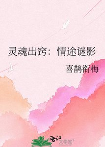 灵魂出窍:情途谜影