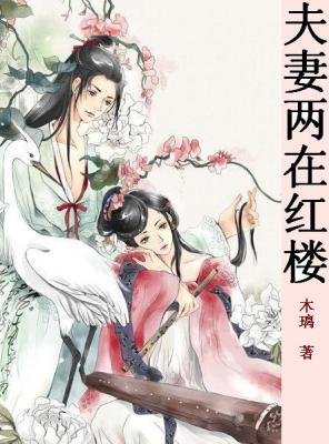 (鸿楼同人/BG)夫妻俩在鸿楼