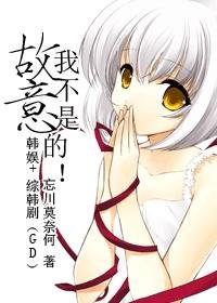 《(BG/韩娱+综韩剧同人)(GD)我不是故意的!》