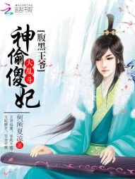 神偷傻妃:腹黑王爺大亂鬥