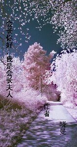 会裳你好,我是会裳夫人