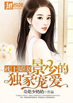 枕上娇妻:景少的独家宠爱