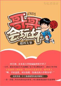 【BG/SD同人】哥哥,会玩坏