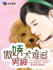 《傲嬌男神太難追》