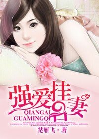 强隘挂名妻/闪婚强隘,矫妻颂上门