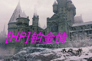 (HP同人/BG)铂金情